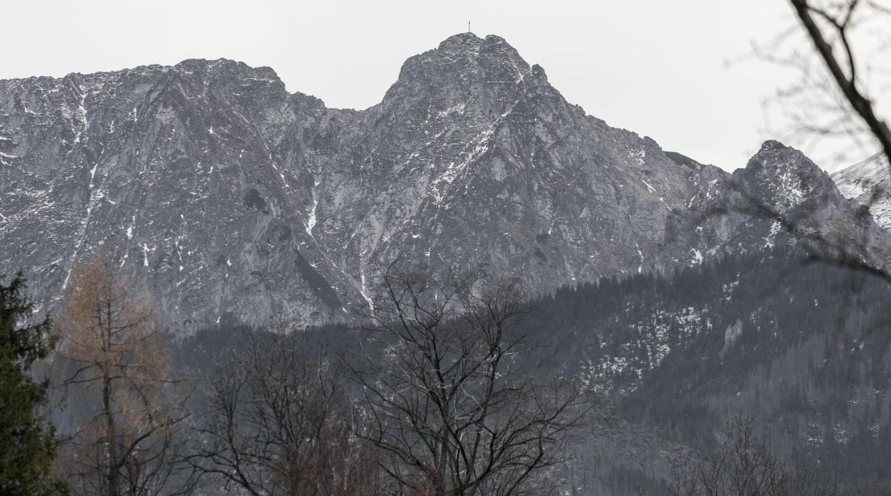 Twoja Chata Apartamenty Pod Niebem Zarezerwuj Na Podhalami Pl Kościelisko Buitenkant foto